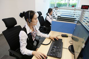 政務服務中心咨詢中心 高效便捷的信息咨詢服務